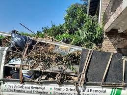 Best Office Cleanout  in Thruston, KY