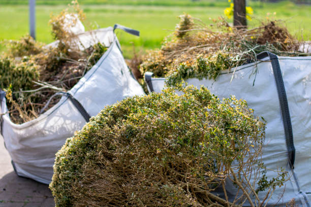 Best Shed Removal  in Thruston, KY